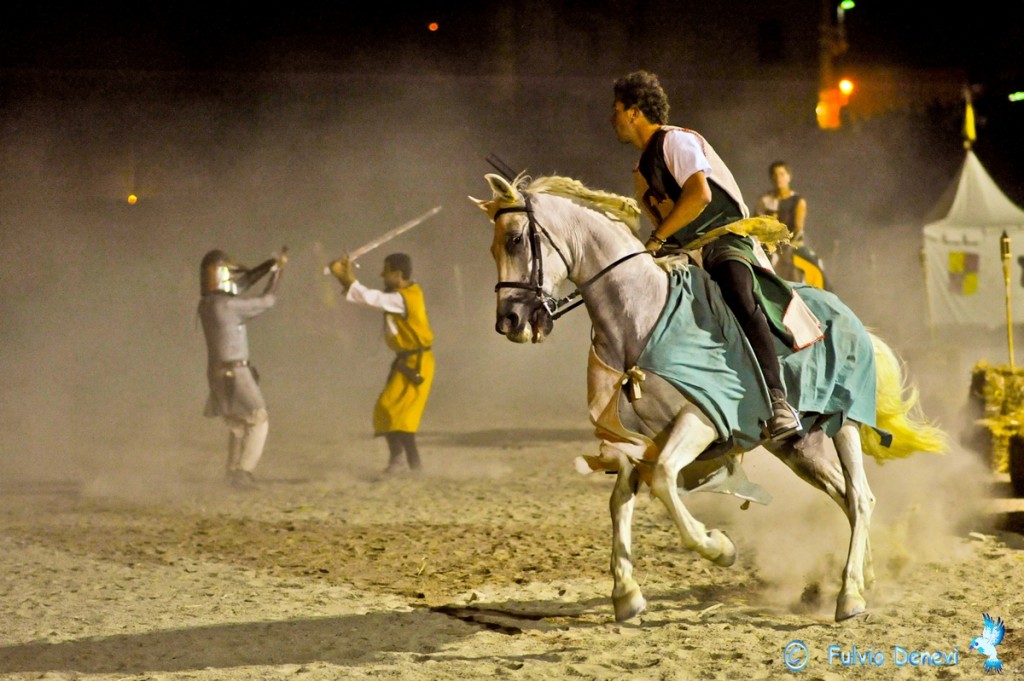 Le spectacle « A Knight's Tale »