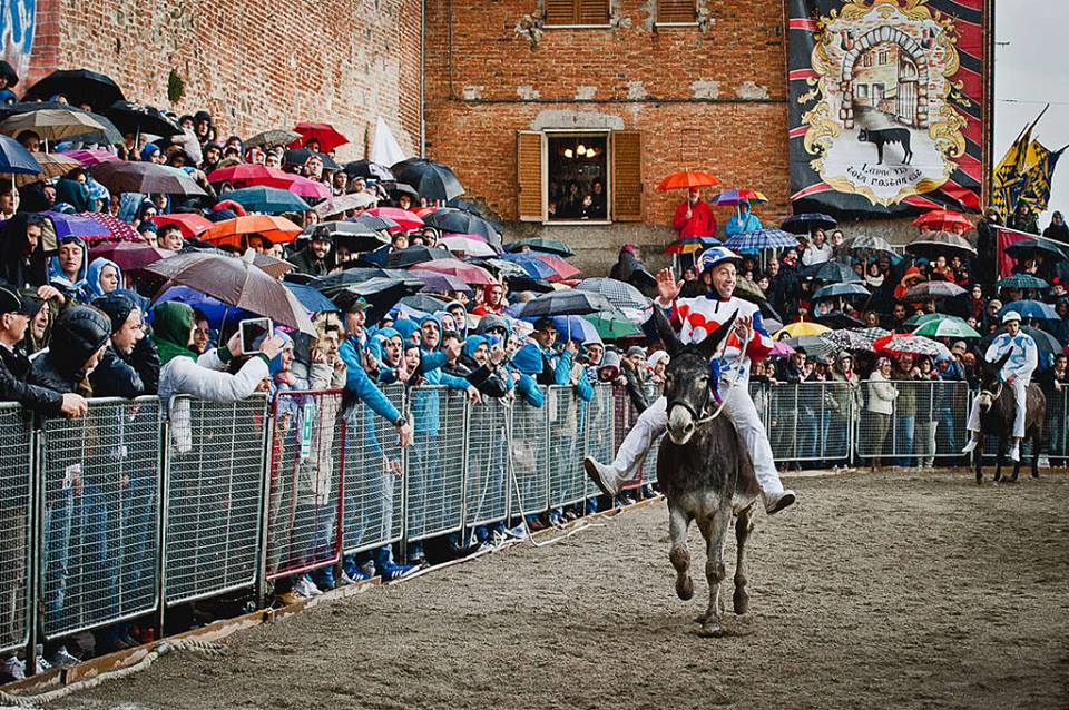 Le Palio des ânes