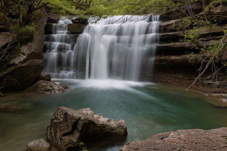 Parc national des Forêts Casentinoises