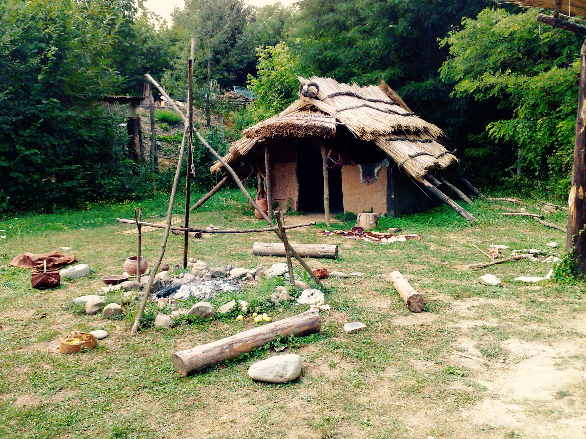 Dans le Parc, un voyage à travers la préhistoire