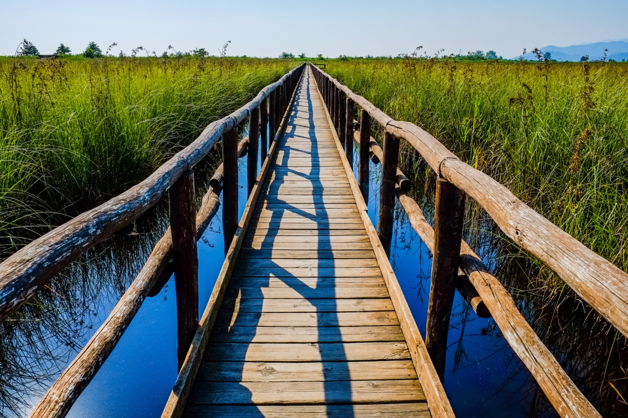 Oasis de Massaciuccoli