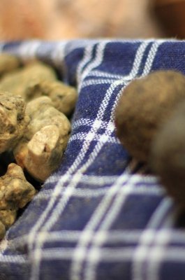 San Miniato truffle