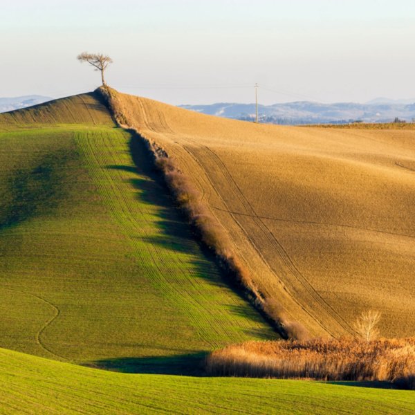 Tuscan landscape in the surroundings of Monteroni d'Arbia