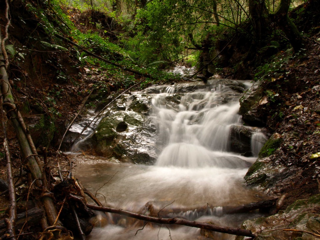 Le Parc naturel de Poggio Neri