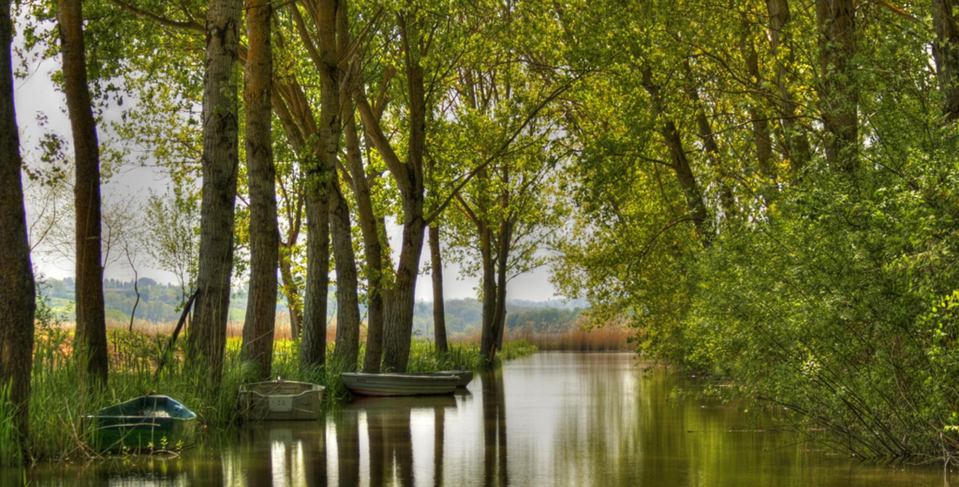 Réserve naturelle du lac de Montepulciano