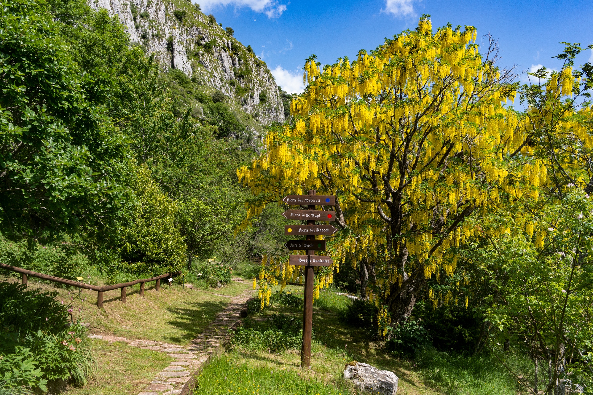 Jardin Botanique Pania di Corfino