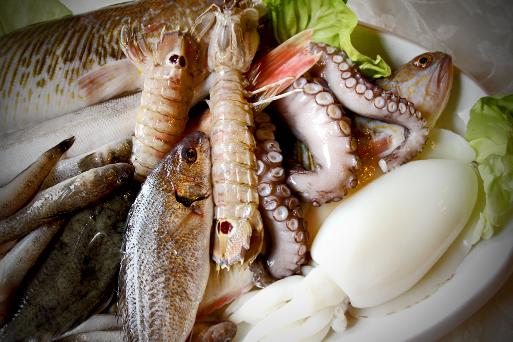 Poissons et fruits de mer pour la soupe Cacciucco