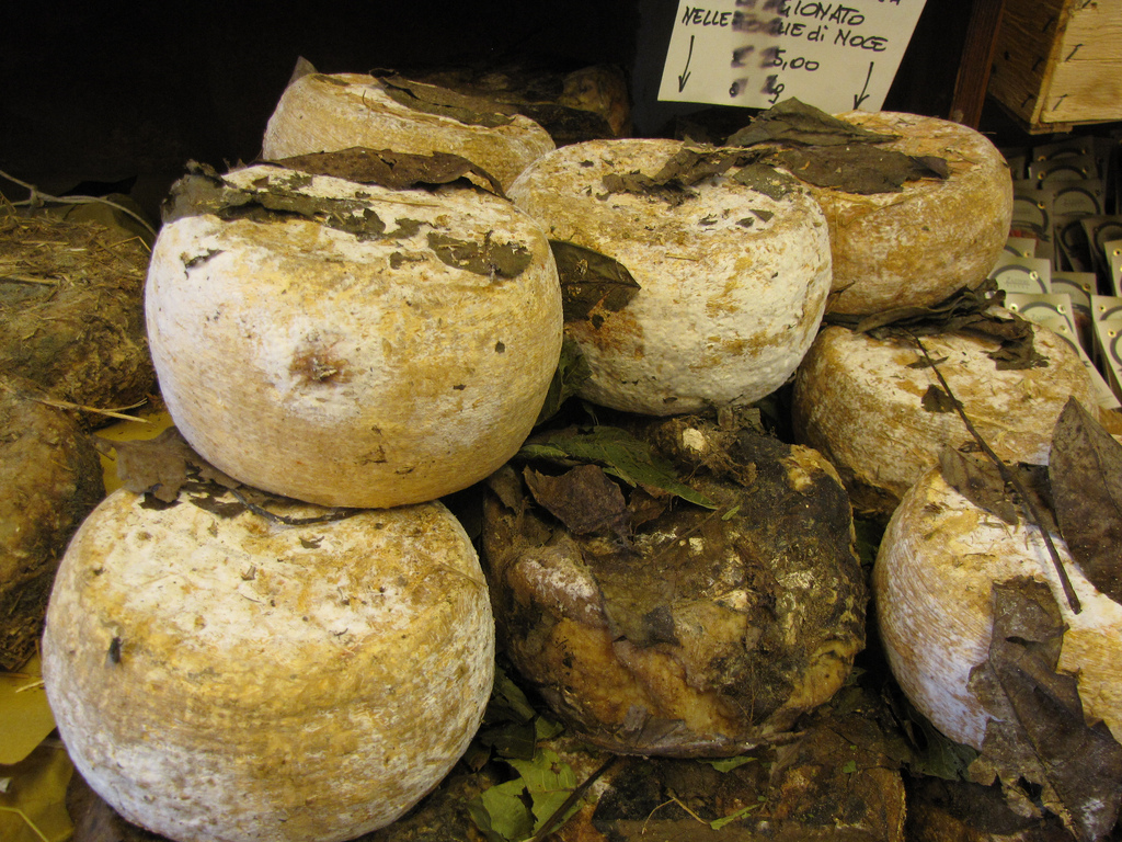 Pecorino vieilli avec des feuilles de noyer dans des pots en terre cuite