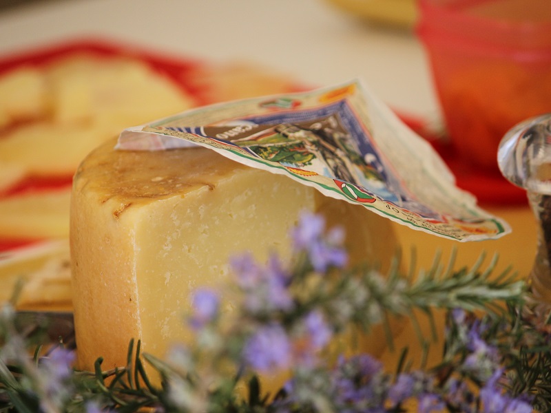 AOP Fromage Pecorino