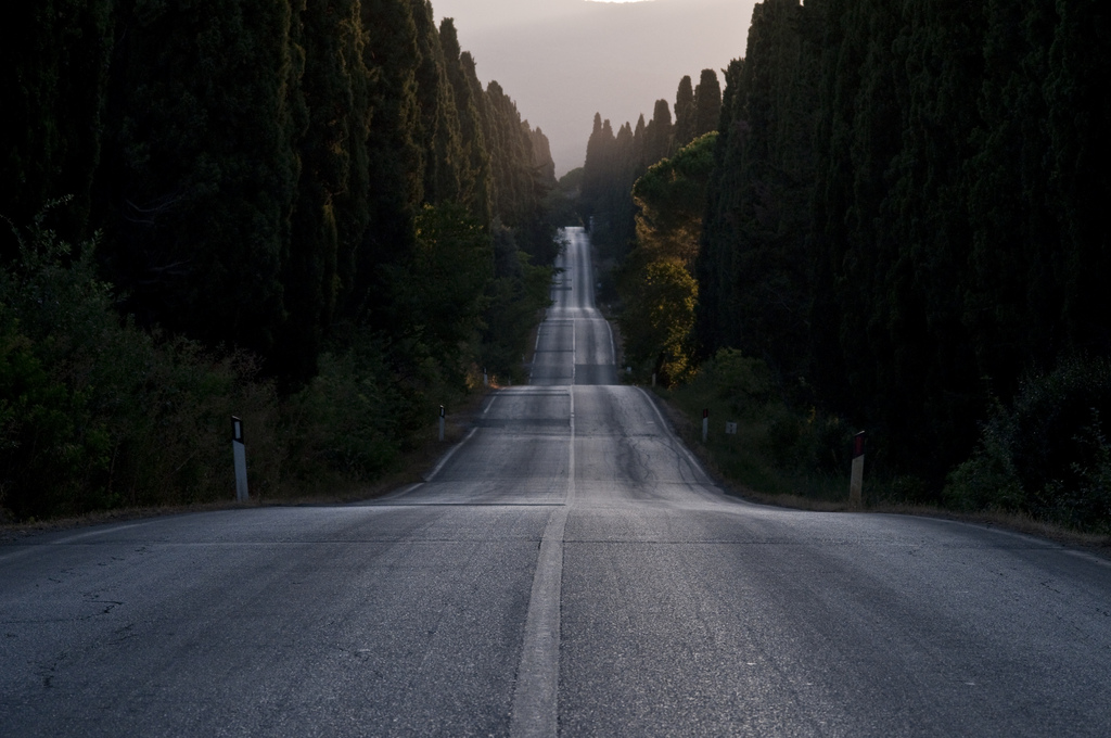 Route de Bolgheri