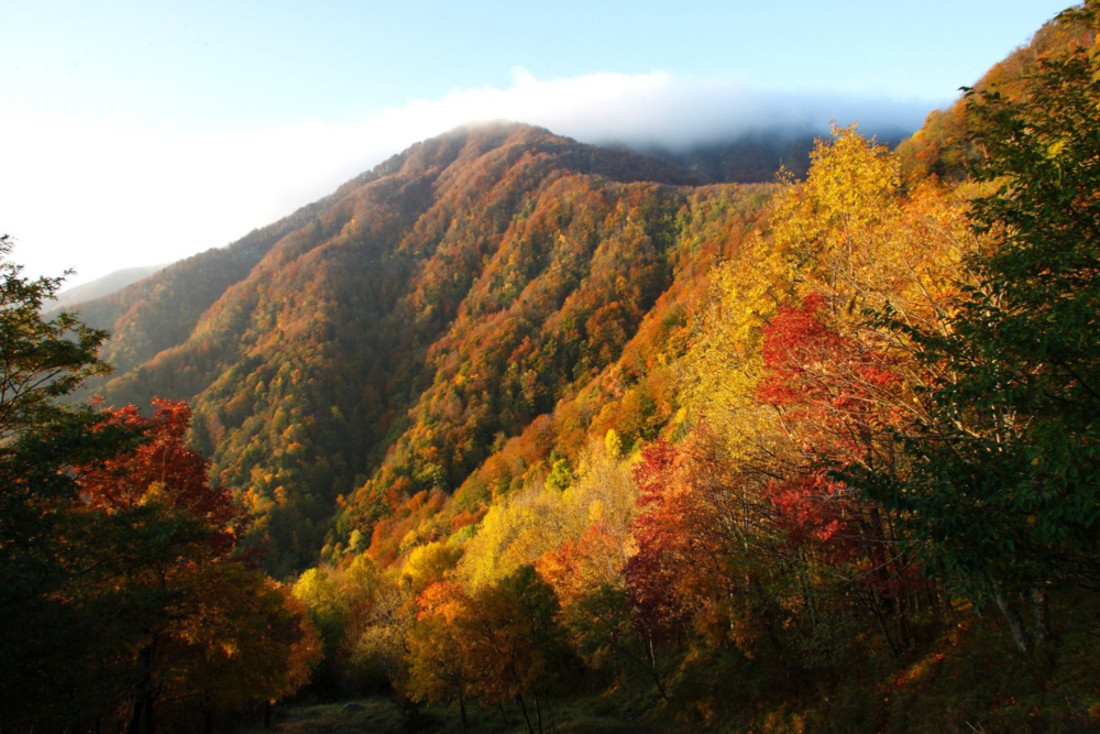 Le Casentino en automne