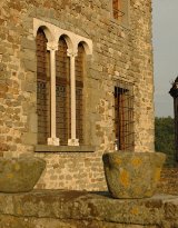 Castiglione del Terziere Castle