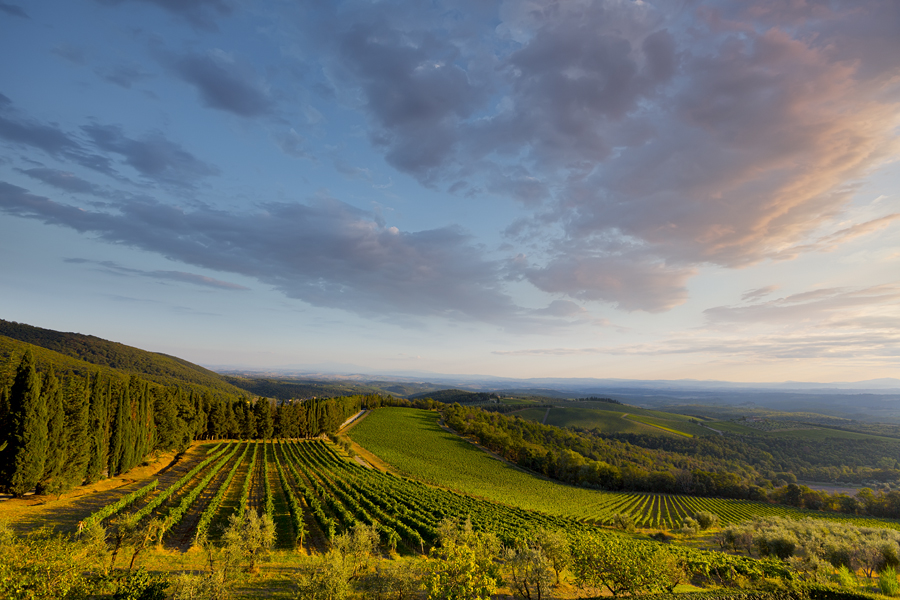 Chianti Classico - Brolio