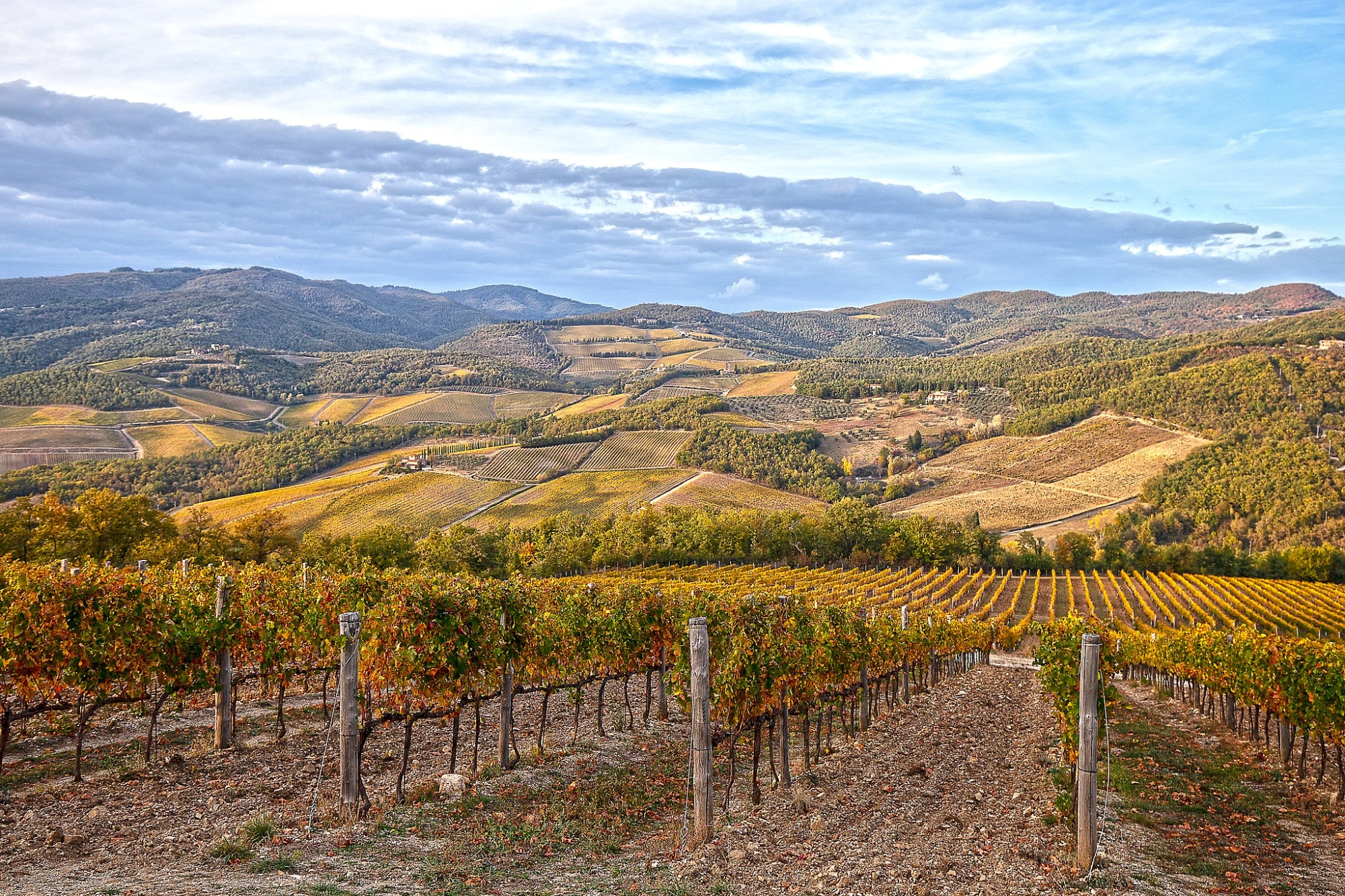 L'automne dans les vignobles du Chianti