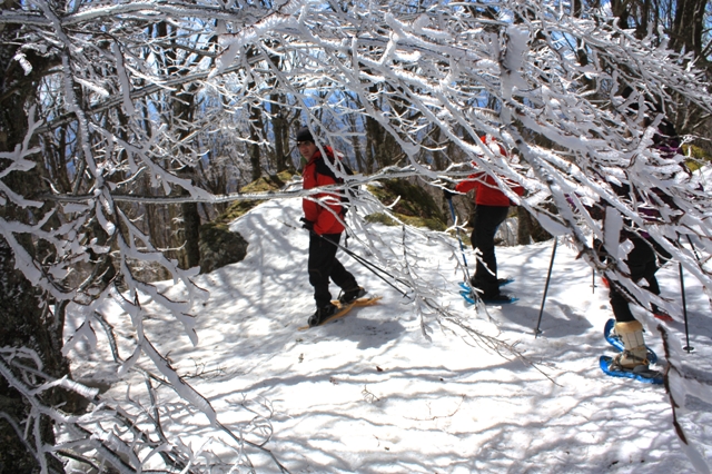 Randonnée en raquettes sur le Mont Amiata