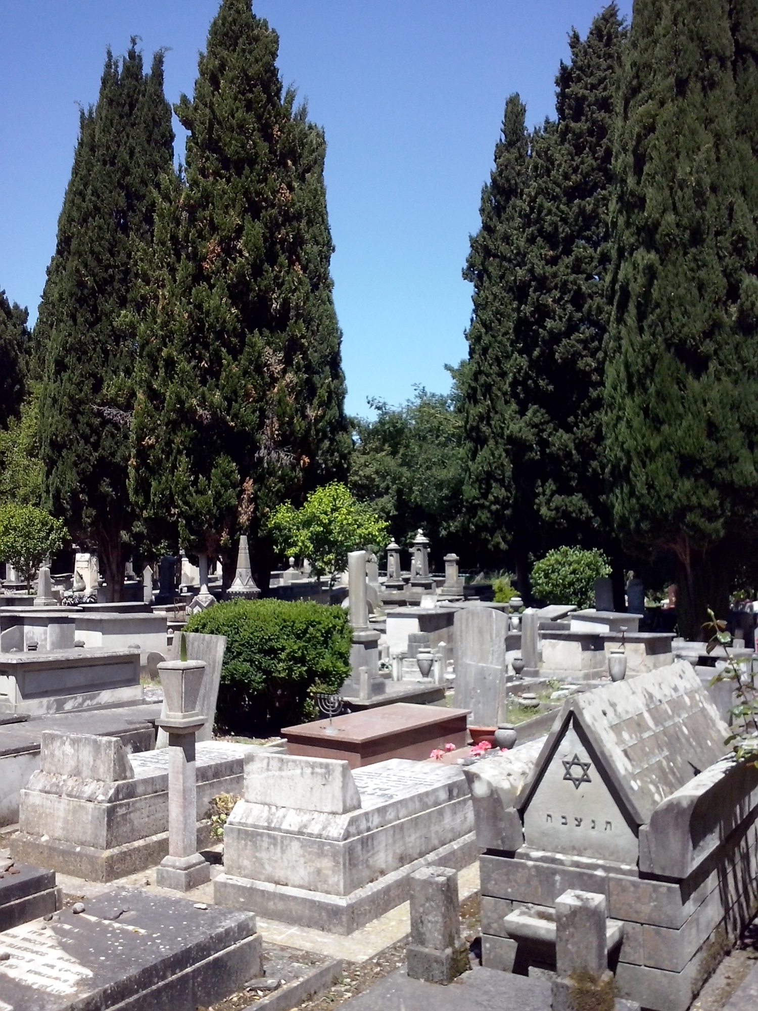 Cimetière juif de Pise