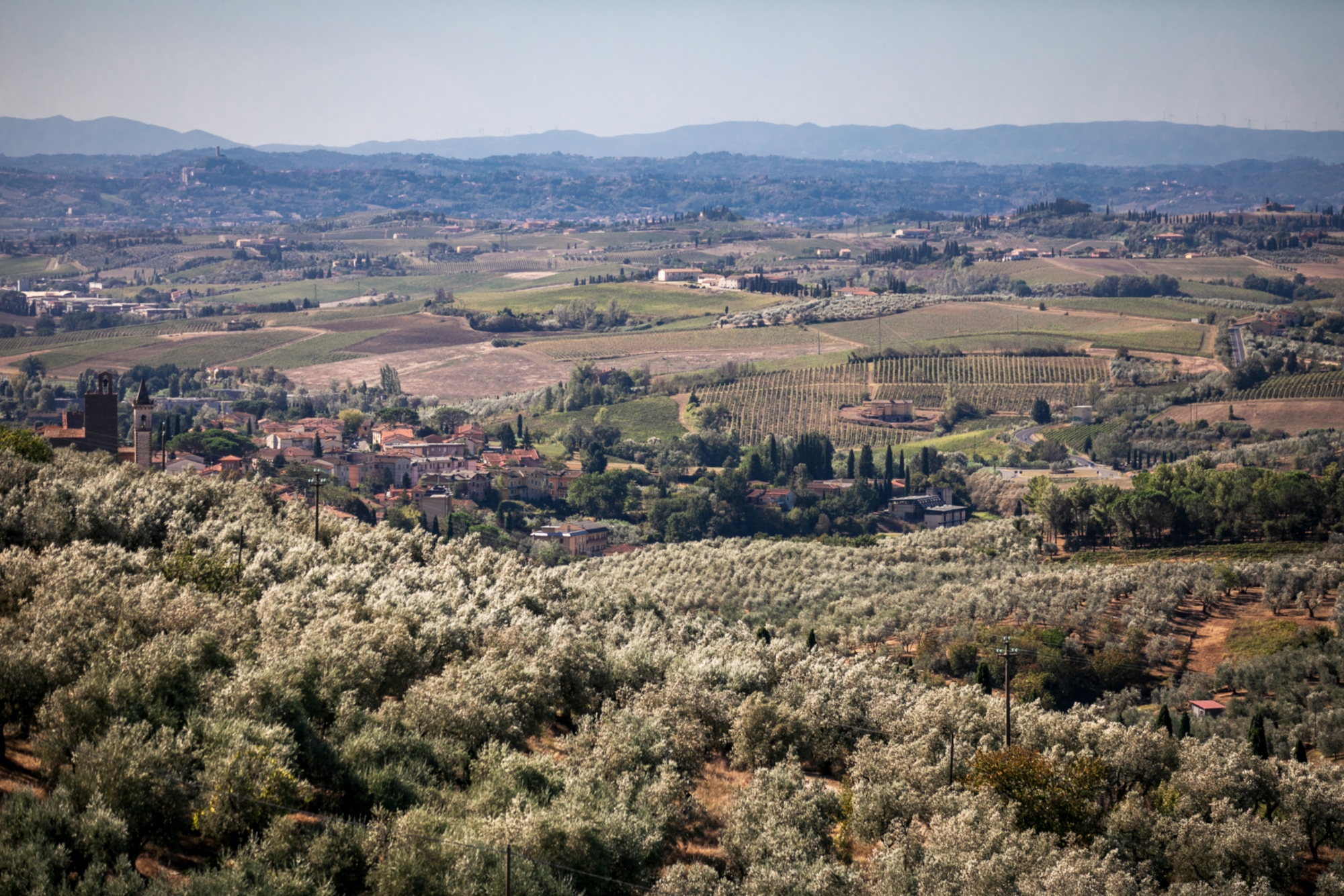 Les collines de Vinci