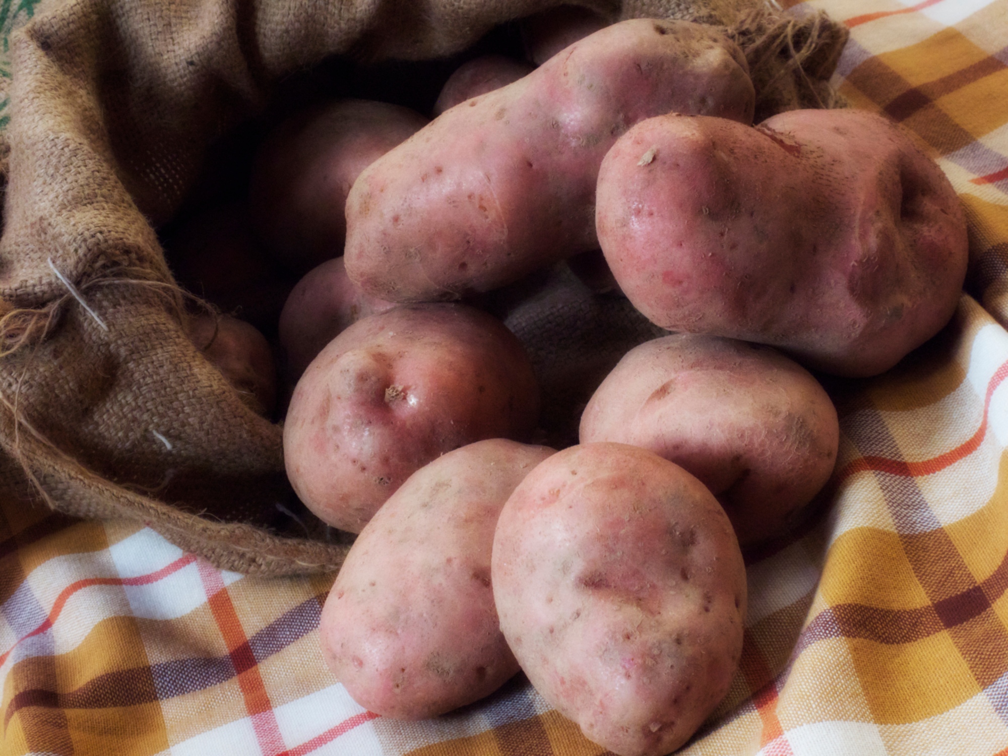 Pommes de terre de la Garfagnana