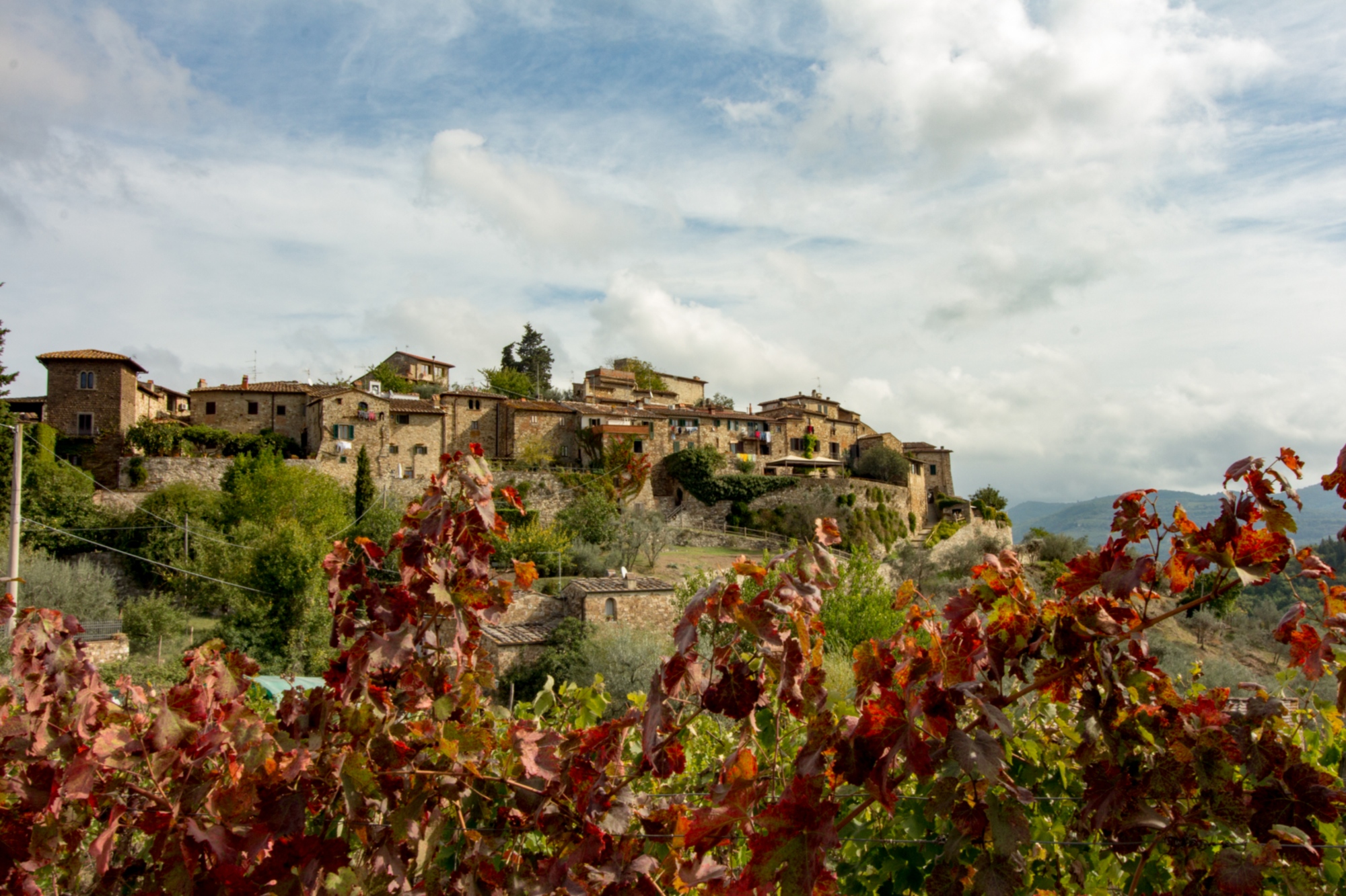 Photo du village de Montefioralle niché dans la campagne