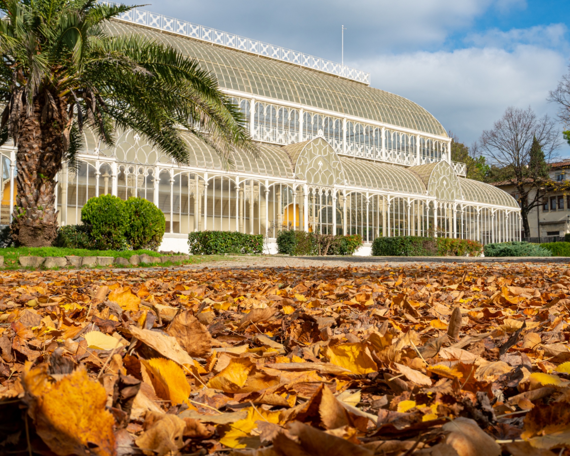 Le tepidarium, Jardin de l’horticulture