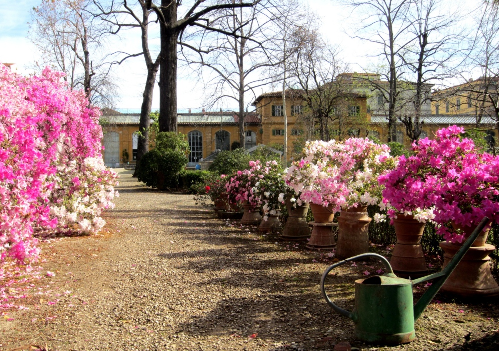 Jardin botanique - Jardin des Simples