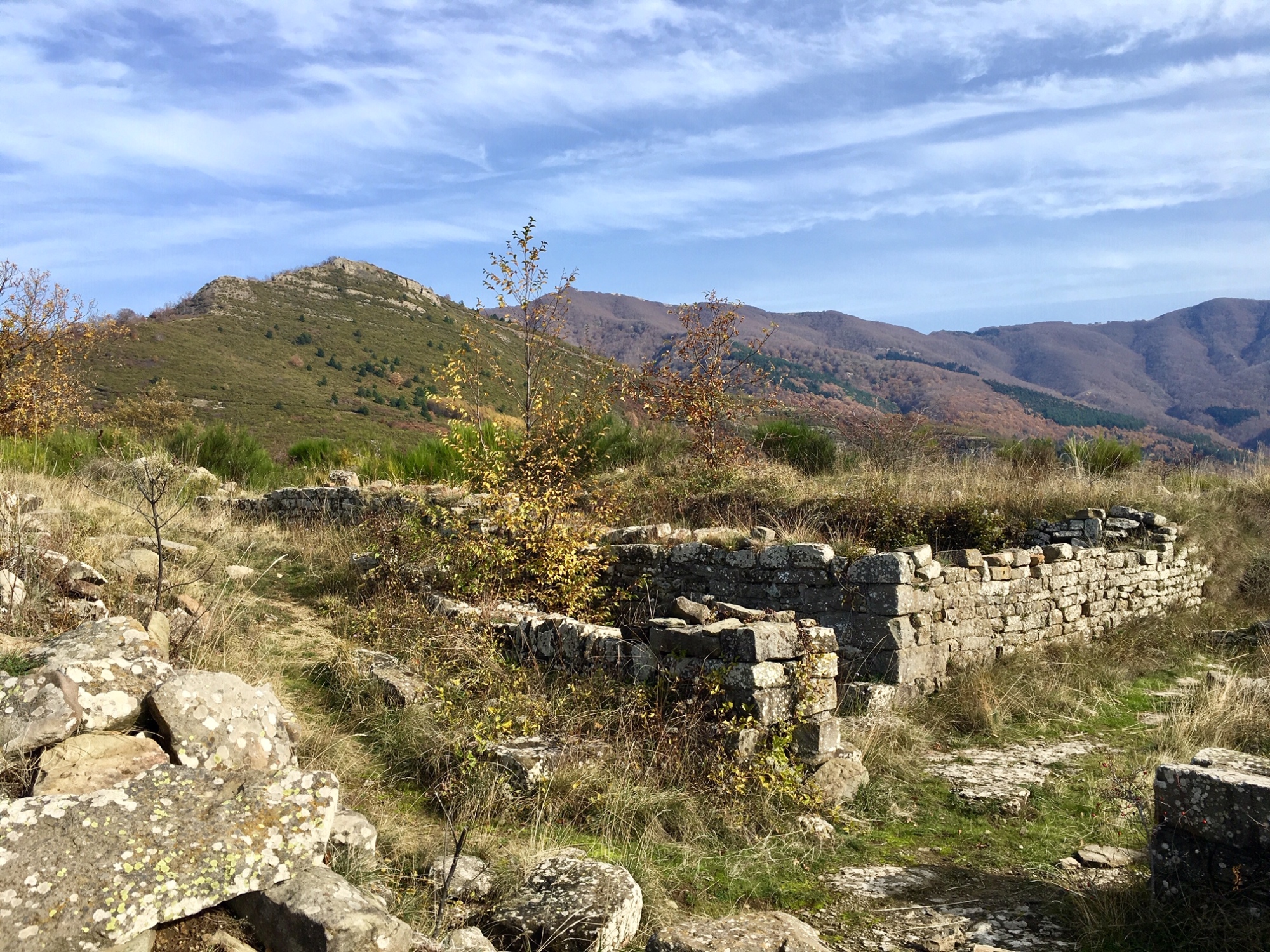 Poggio alla Regina avec vue sur le Monte Acuto - Reggello