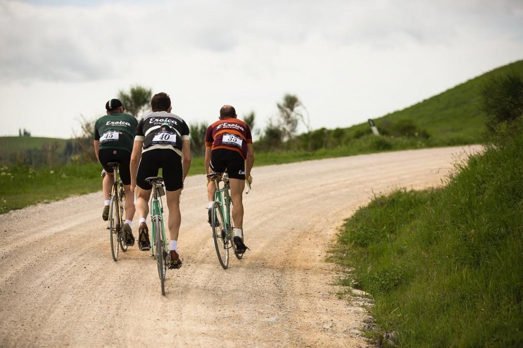 Rangée de cyprès et cycliste - eroica