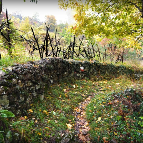 Tappa 22 Dal Passo Della Cisa A Pontremoli Visit Tuscany