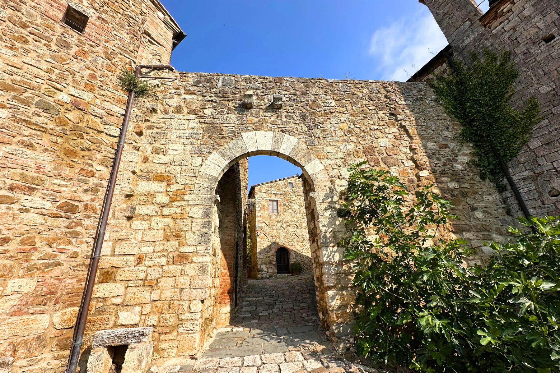 Vignoni Alto