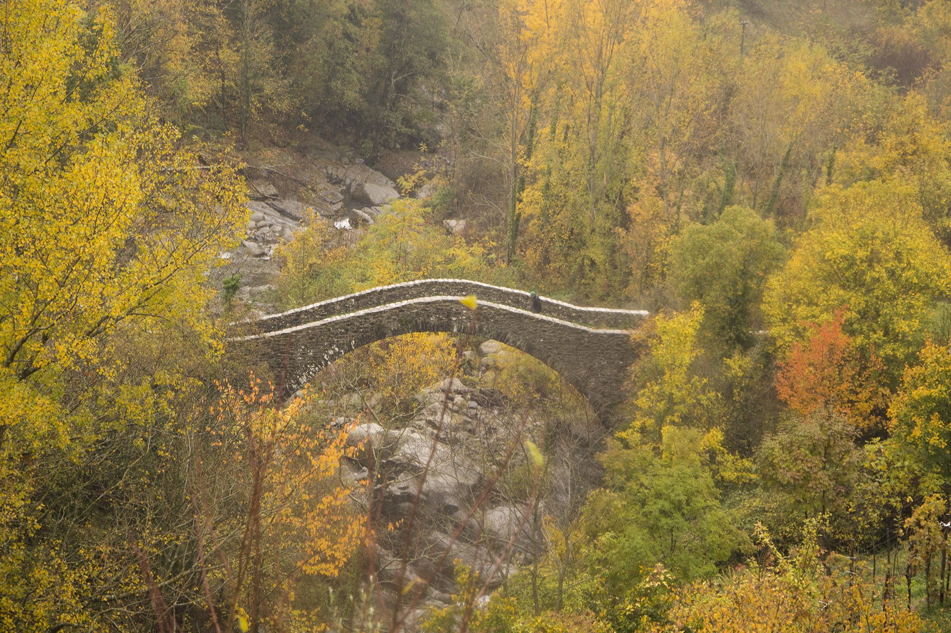 Groppodalosio bridge