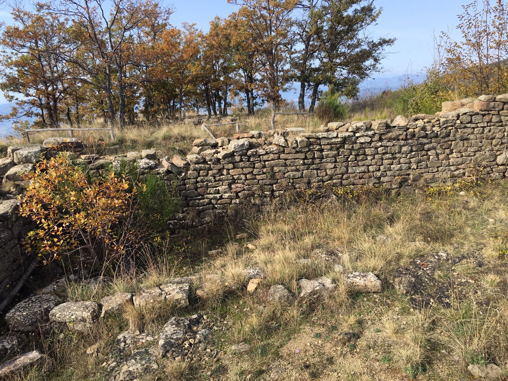 Les ruines de l'ancien château de Castiglione della Corte, également connu sous le nom de Poggio alla Regina