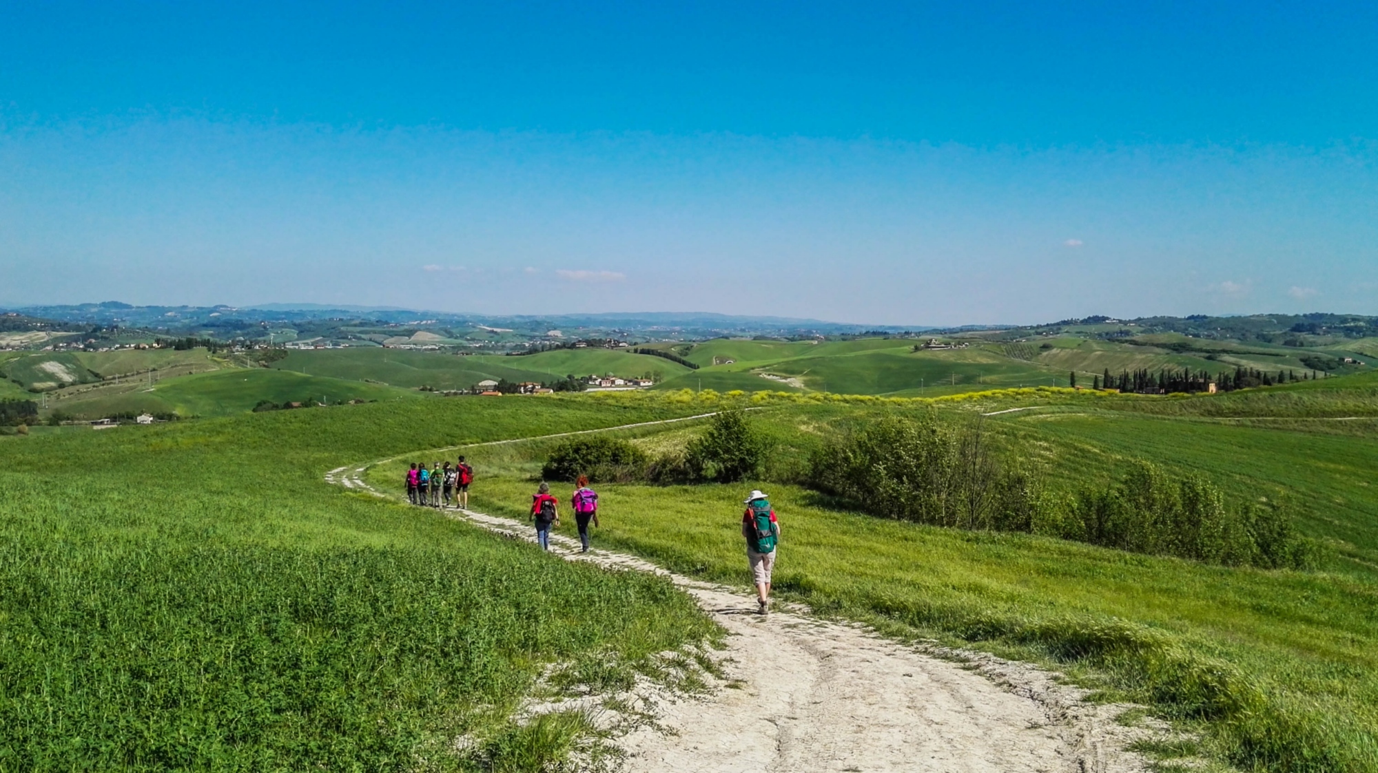 Pèlerins marchant sur la Via Francigena à travers les collines verdoyantes de l’étape San Miniato - Gambassi Terme, entourés par la nature toscane.