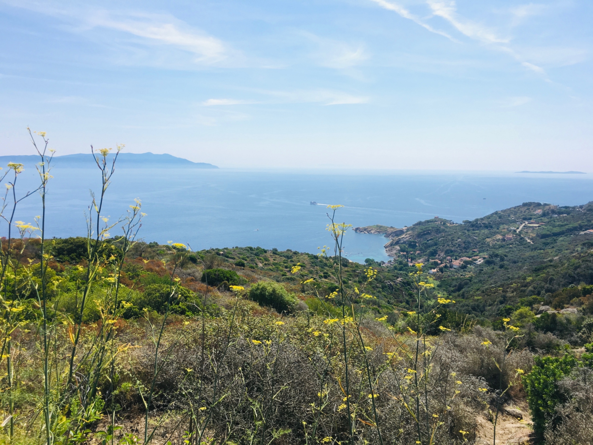 Isola del Giglio, mare e natura