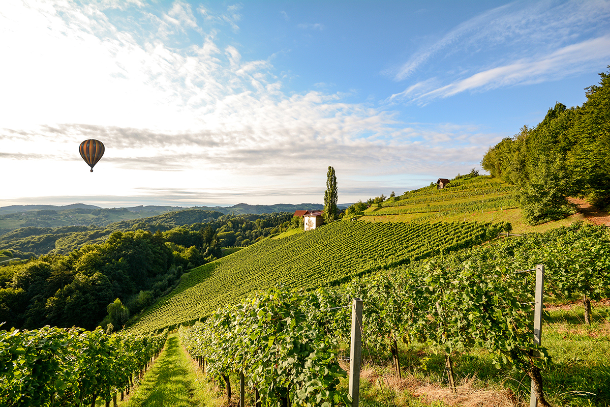 Un vol en montgolfière au-dessus des collines du Chianti