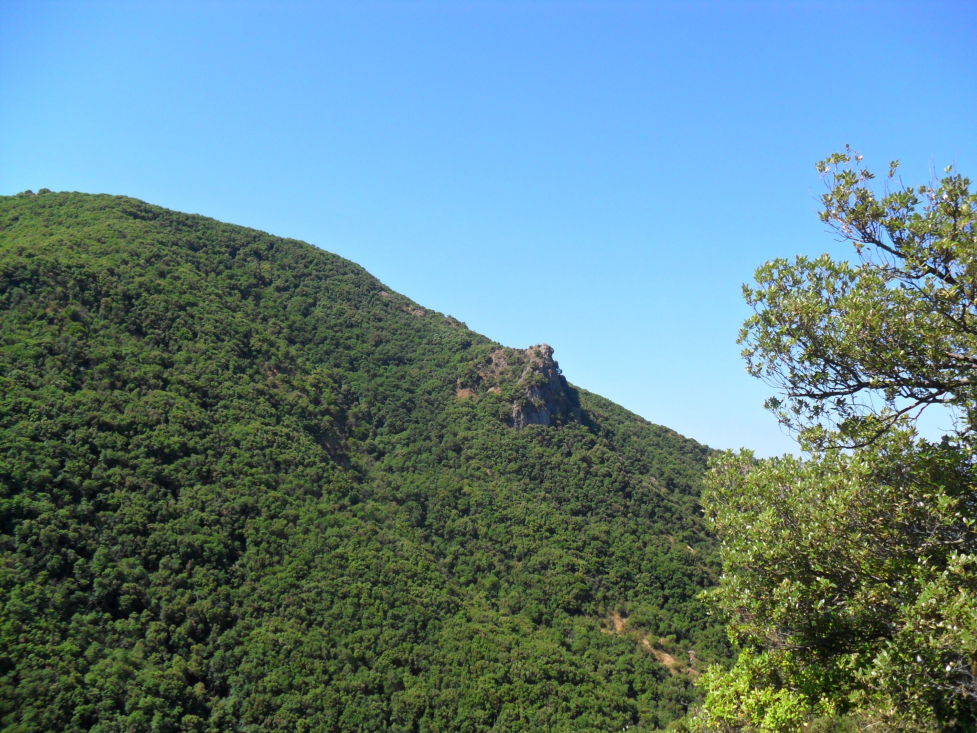 Réserve naturelle de Montenero