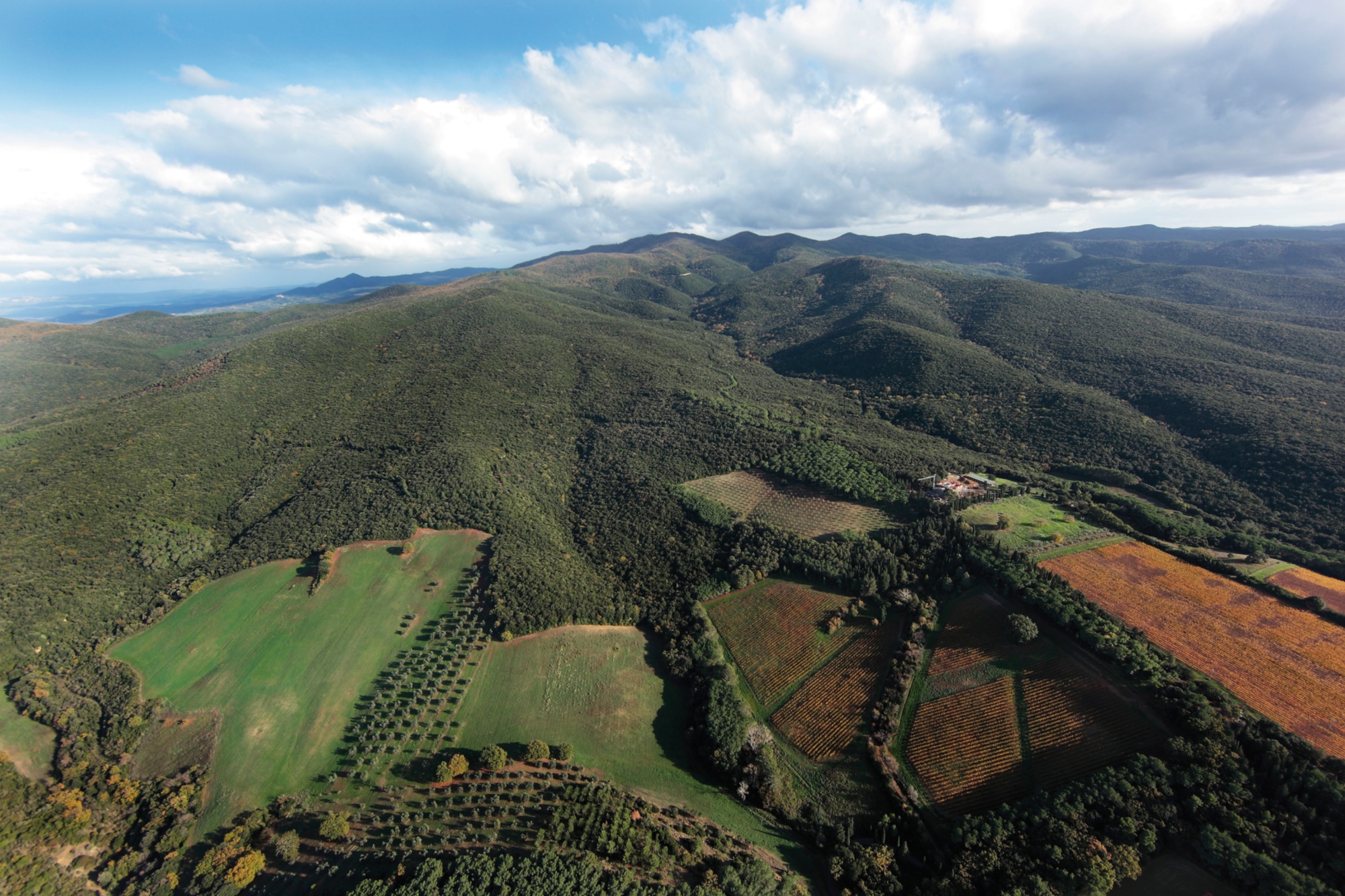 Vue aérienne sur les Collines Métallifère, avec des champs et des bois qui définissent le paysage de la Maremme du Nord.