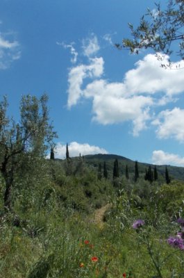 Panorama del Montalbano