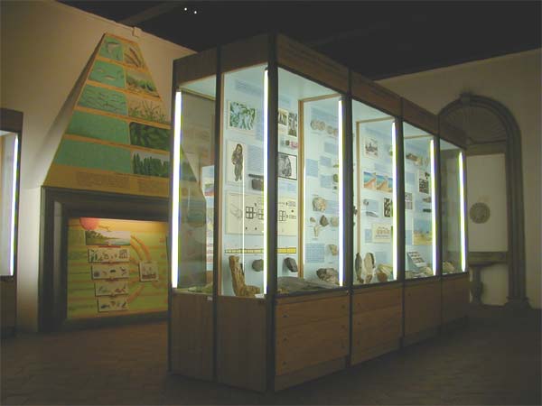 Une vitrine contenant des objets du musée