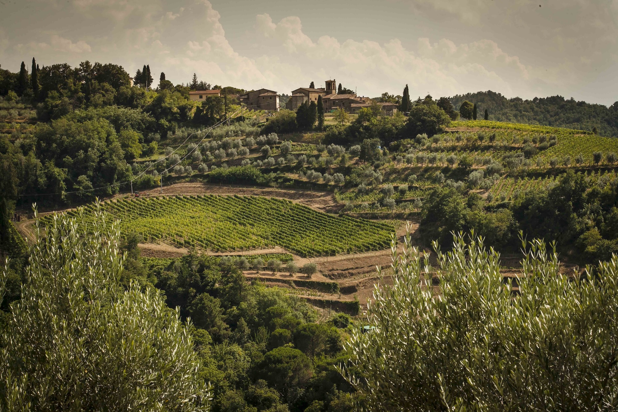 The hills of Lamole in Greve in Chianti