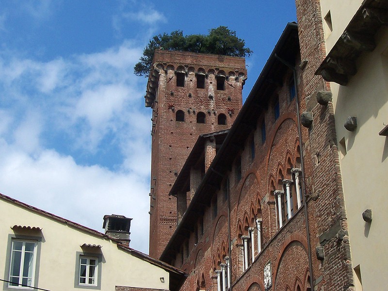 La Tour Guinigi vue d'en bas