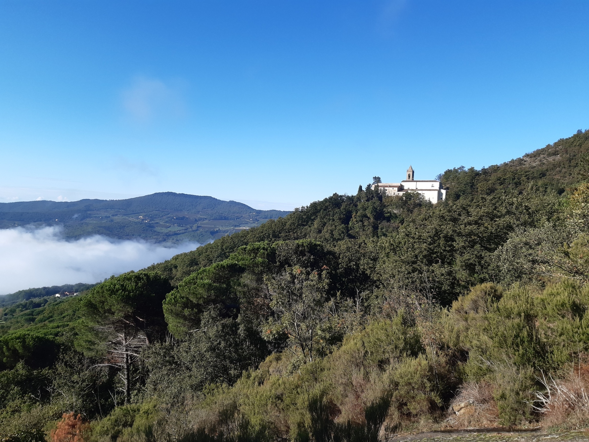 Sanctuaire de la Madonna del Sasso, Santa Brigida