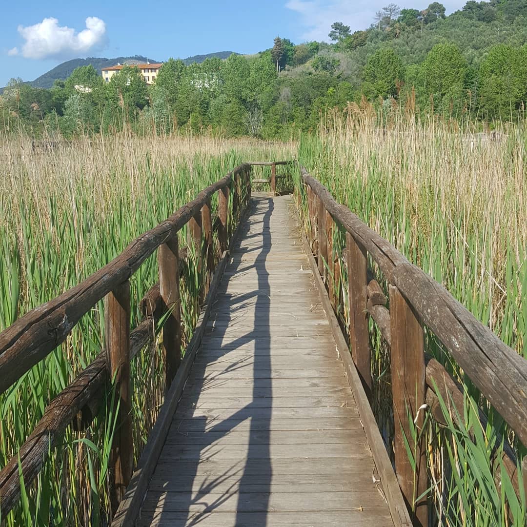 Parc de Massaciuccoli