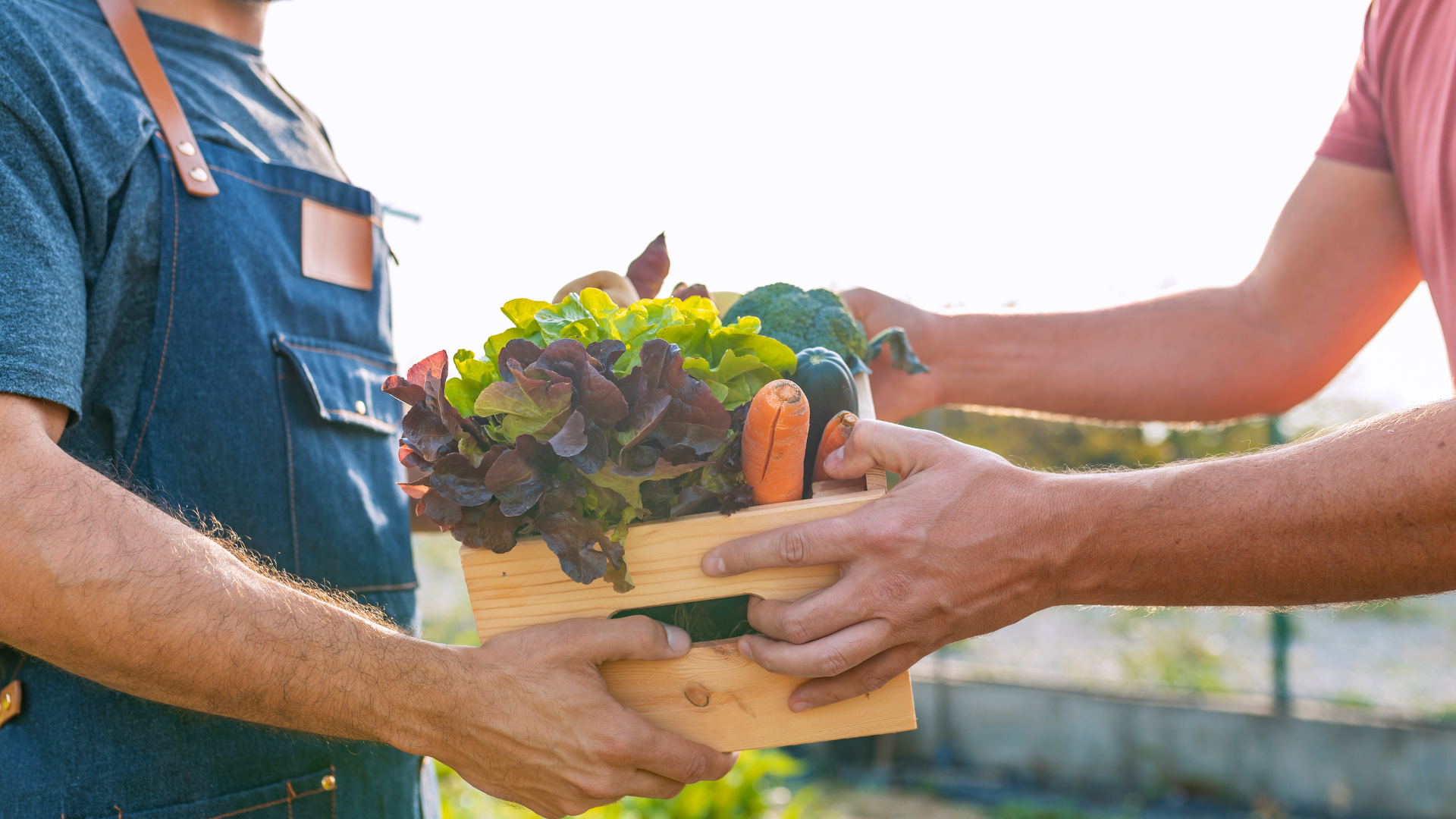 Le marché des agriculteurs. De la terre à la table en seulement quelques kilomètres !