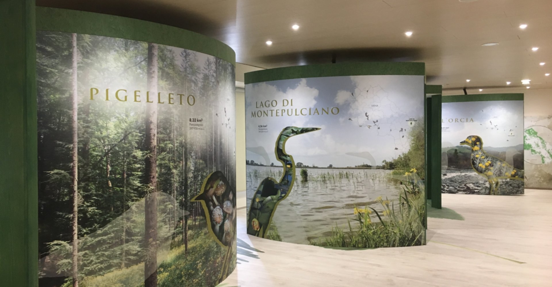 Affiche publicitaire pour le musée de la biodiversité de Monticiano.