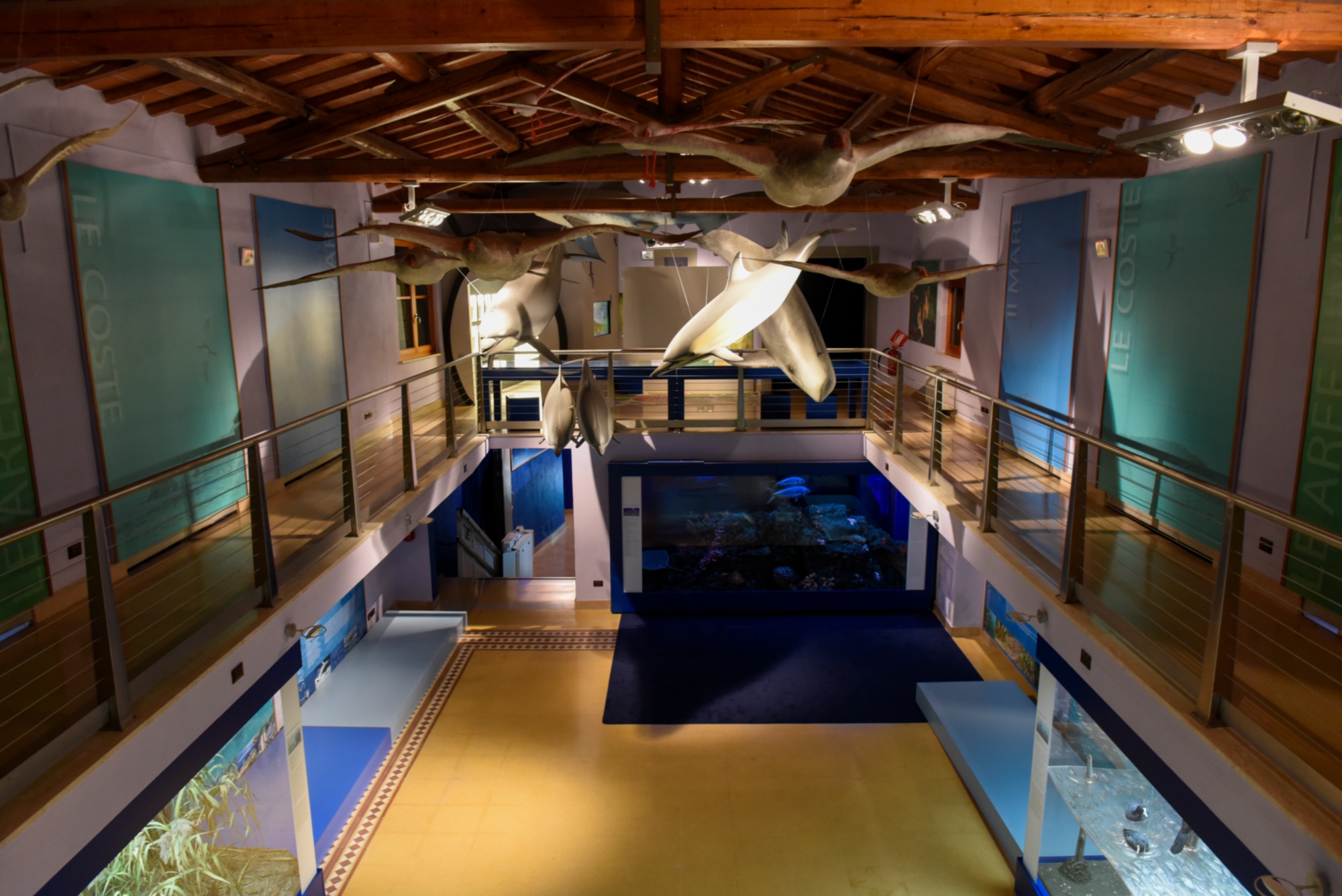 Musée d'Histoire Naturelle de la Maremme