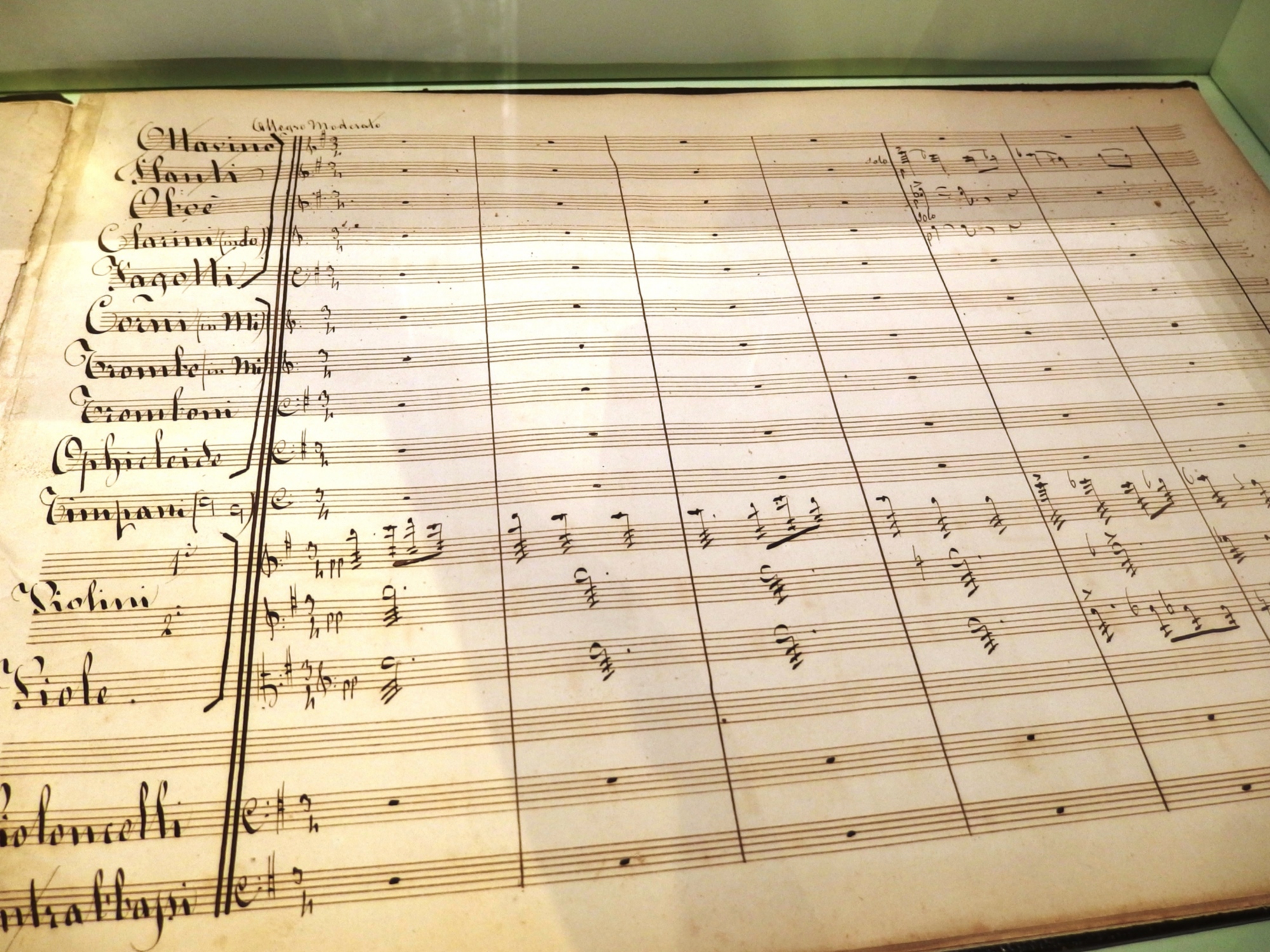 Musée Puccini à Lucques