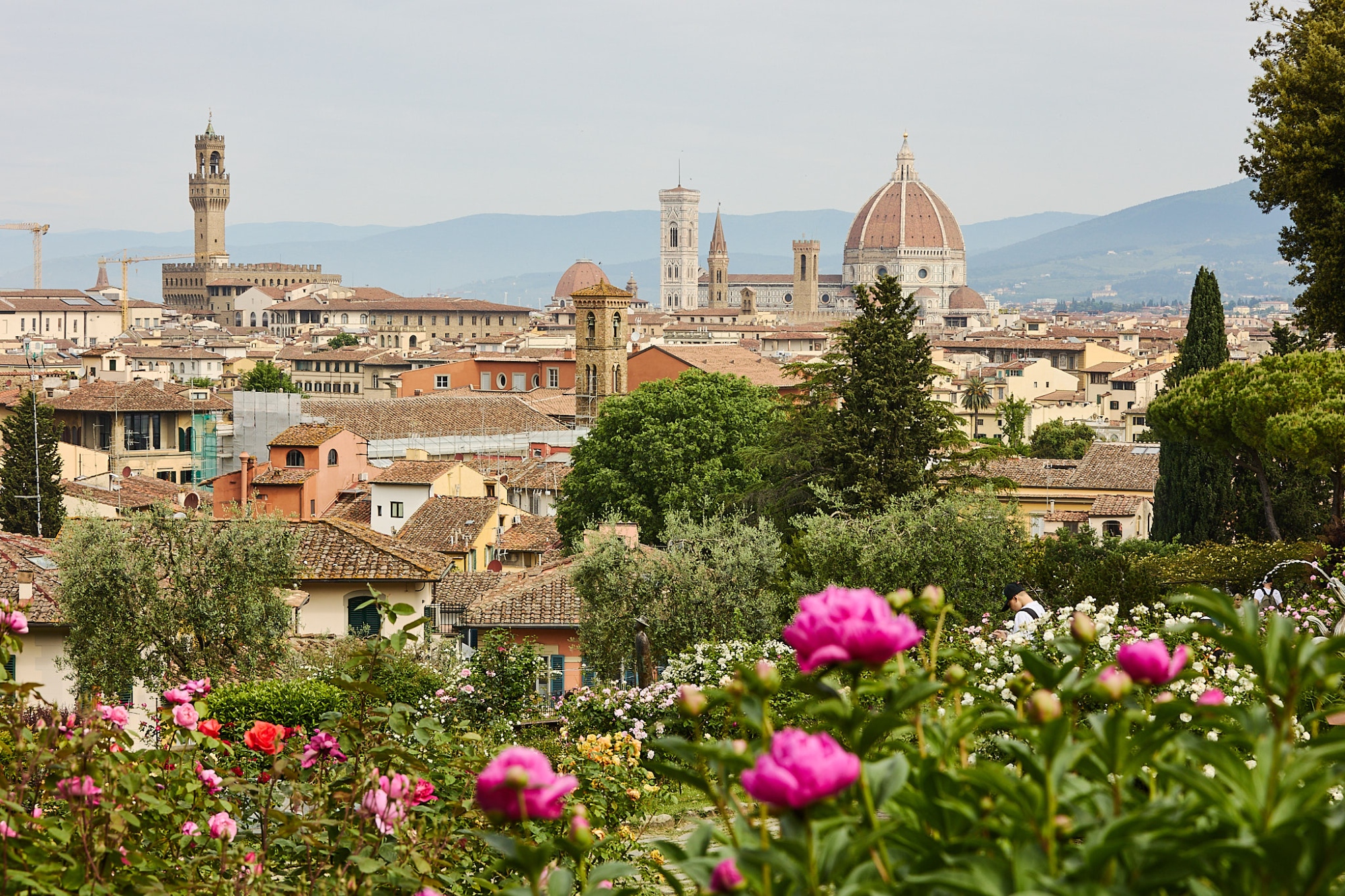 Vista panoramica di Firenze dal Giardino delle Rose, con la cupola del Duomo e Palazzo Vecchio sullo sfondo.