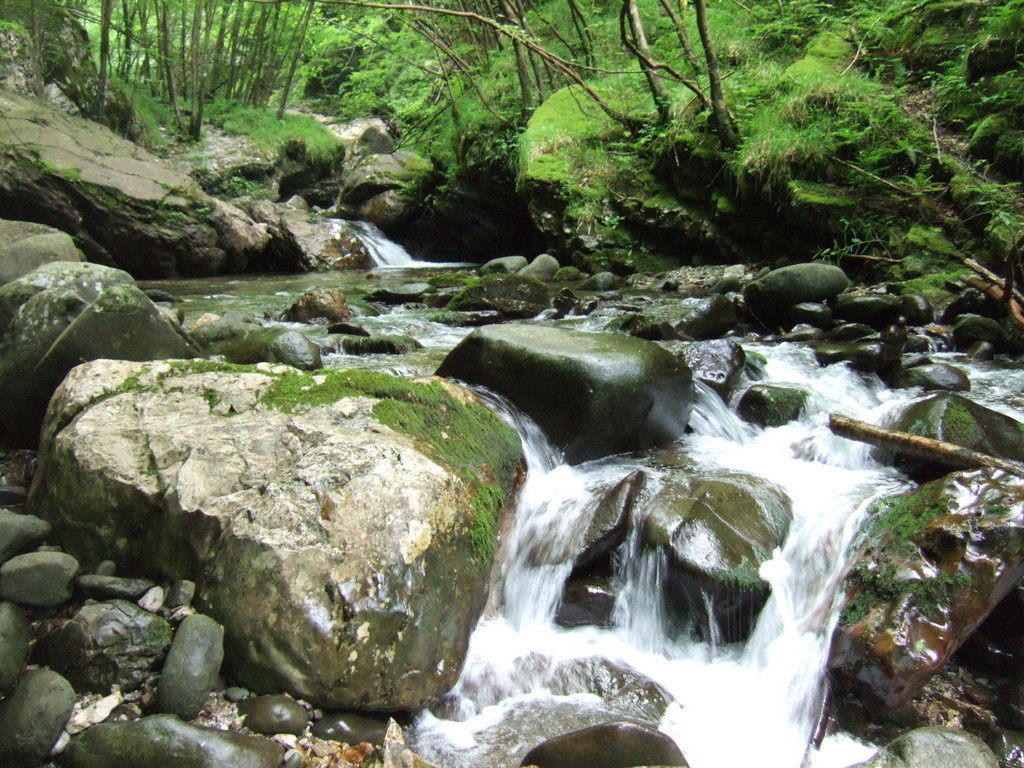 Dans les gorges Orrido di Botri