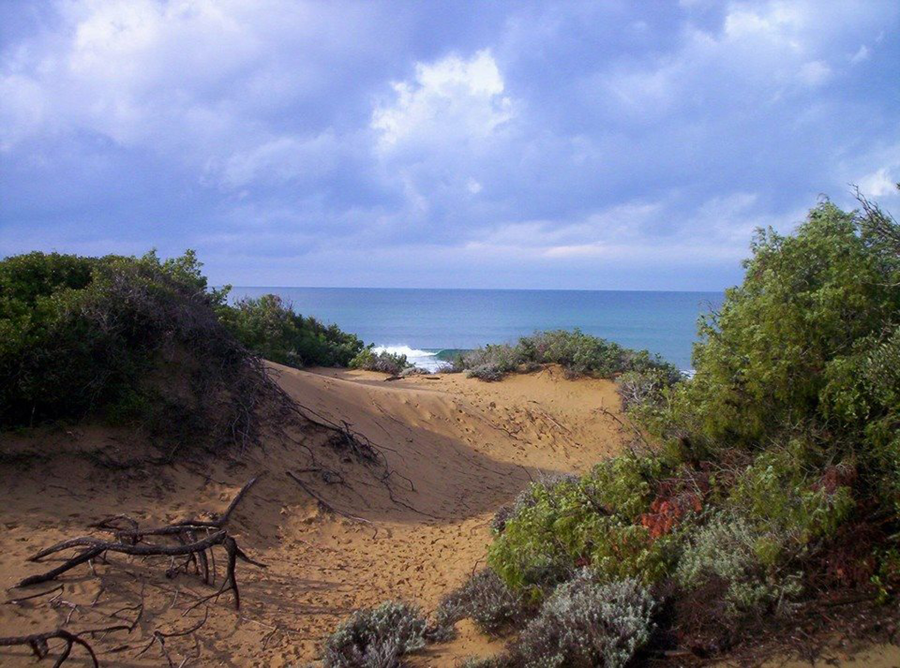 Le Parc Naturel de Rimigliano