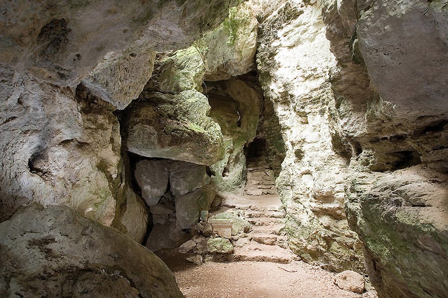 Le Parc archéologique naturel